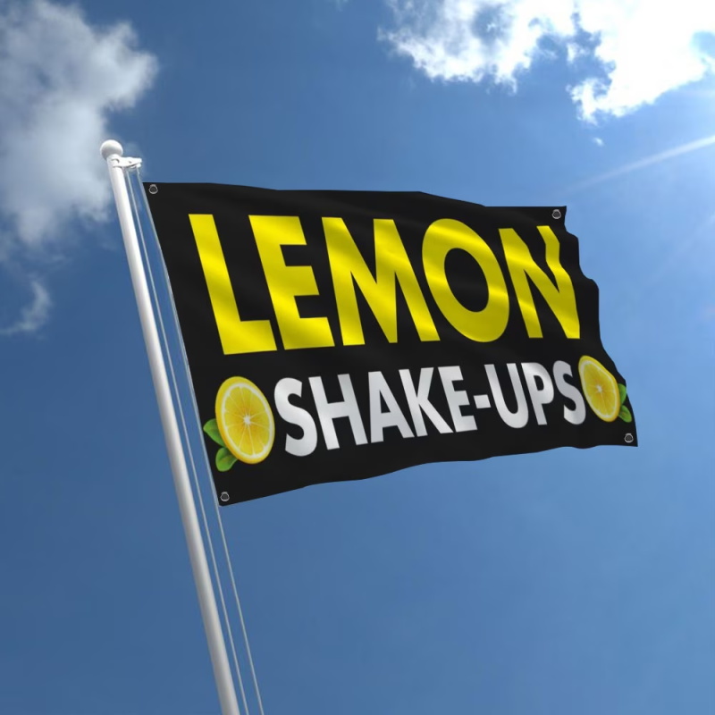 Drapeaux publicitaires personn - Auto Repair Shop Banners avis et prix